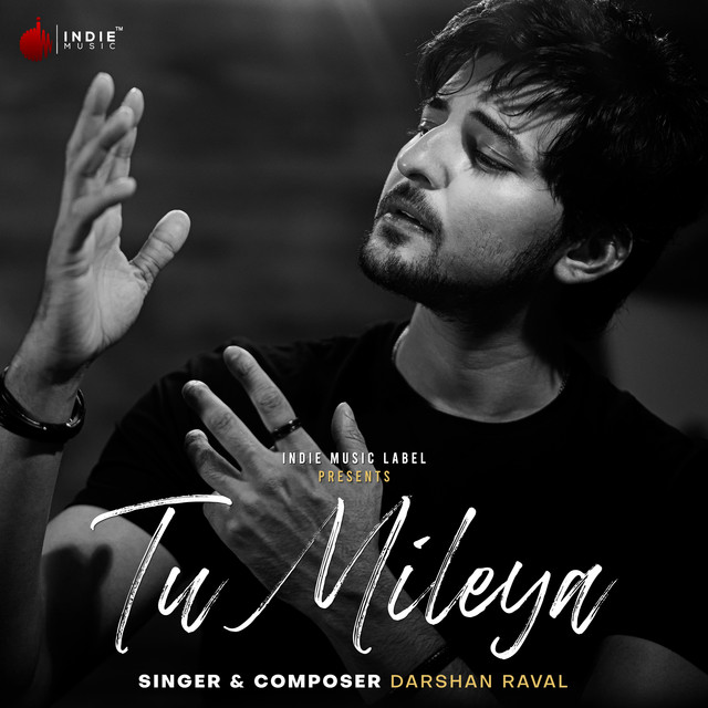 Darshan Raval - Tu Mileya official cover art